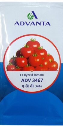 Advanta 3467 F1 Hybrid Tomato Seeds