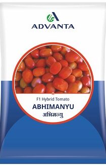 Advanta Abhimanyu F1 Hybrid Tomato Seeds — High‑Yield, Disease‑Resistant Variety for Commercial Farming