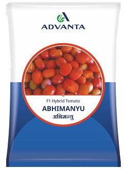 Advanta Abhimanyu F1 Hybrid Tomato Seeds — High‑Yield, Disease‑Resistant Variety for Commercial Farming