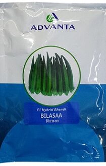 Advanta F1 Hybrid Bilasaa Bhendi Okra Seeds