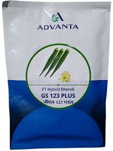 Advanta GS 123 Plus F1 Hybrid Bhendi Seeds — High‑Yield, Disease‑Resistant Okra Variety (100g)