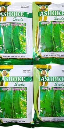 Ashoke Diamond Seem Vegetable Seeds — Premium Green Bean Seeds for Farming & Gardening (500g)