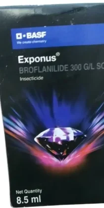 BASF Exponus Insecticide