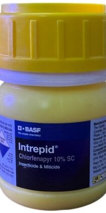 BASF Intrepid — Chlorfenapyr 10% SC | Insecticide & Miticide (100ml)
