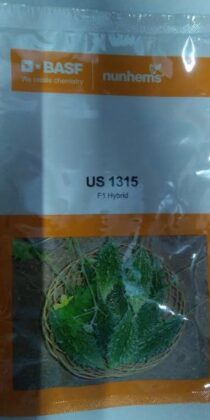 BASF F1 Hybrid Bitter Gourd Seeds