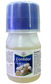 Bayer Confidor Insecticide — Imidacloprid 17.1% SL (50ml)