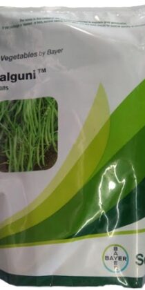 BAYER Seminis Hybrid Seed