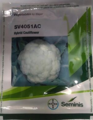 BAYER Seminis Cauliflower Seeds