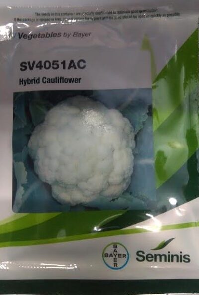 BAYER Seminis Cauliflower Seeds