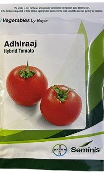 Bayer Seminis Adhiraaj Hybrid Tomato Seeds — High‑Yield Disease‑Resistant Tomato Variety (3500 Seeds)