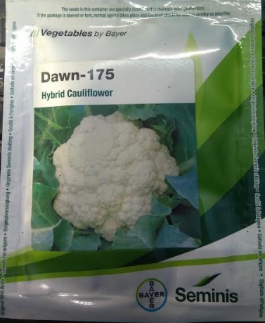 Bayer Seminis cauliflower Seeds