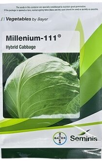Bayer Seminis Millenium 111 Hybrid Cabbage Seeds — High‑Yield Early Maturity Variety for Commercial Cultivation (20g)