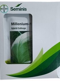 Bayer Seminis Millenium 111 Hybrid Cabbage Seeds — High‑Yield Early Maturity Variety for Commercial Cultivation (20g)