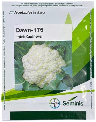 Bayer Seminis DAWN 175 Hybrid Cauliflower Seeds