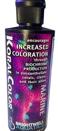 Brightwell Aquatics KoralColor — Marine Supplement for Enhanced Coral Coloration (250ml)