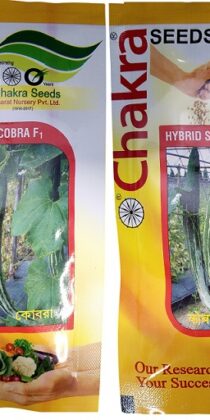 Cobra F1 Hybrid Seeds