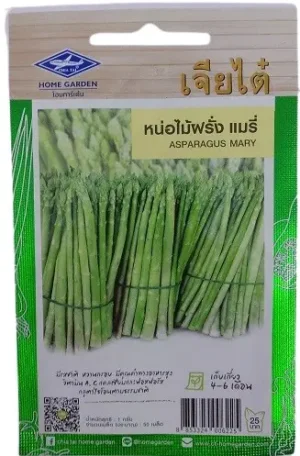 Chia Tai Home Garden Asparagus Mary Seeds