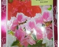 Balsam Flower Seeds
