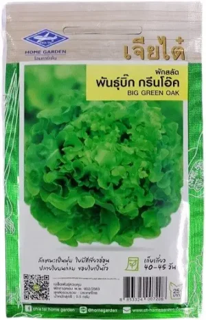 Chia Tai Home Garden Big Green Oak Lettuce Seeds