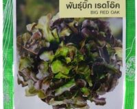 Big Red Oak Lettuce Seeds