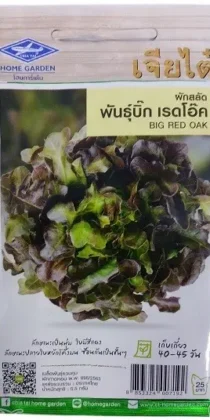 Chia Tai Home Garden Big Red Oak Lettuce Seeds