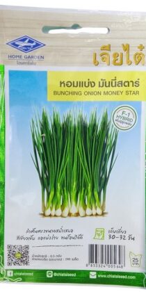 Chia Tai Home Garden Bunching Onion Money Star Seeds