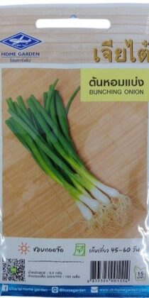 Chia Tai Home Garden Bunching Onion Gardening Seeds — Premium Non-GMO Seeds for Fresh Harvests