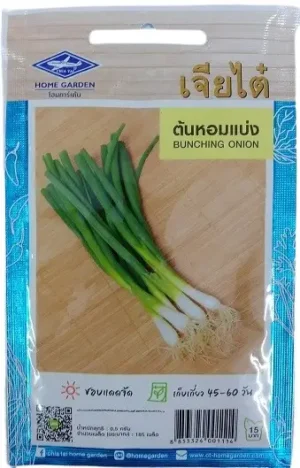 Chia Tai Home Garden Bunching Onion Seeds