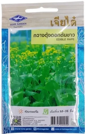 Chia Tai Home Garden Cantonese White Flower Seeds