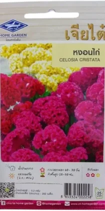 Chia Tai Home Garden Celosia Cristata Seeds