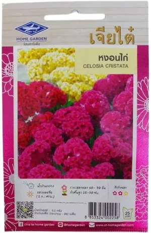 Chia Tai Home Garden Celosia Cristata Seeds