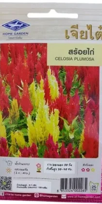 Chia Tai Home Garden Celosia Plumosa Seeds