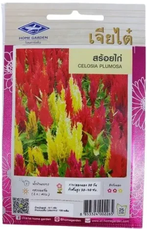 Chia Tai Home Garden Celosia Plumosa Seeds