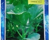 Chinese Kale Seeds