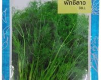 Dill Seeds