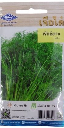 Dill Seeds