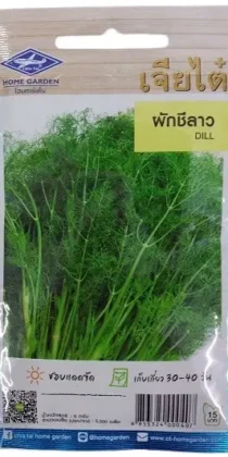 Chia Tai Home Garden Dill Seeds