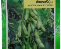 Butter Soybean Seeds