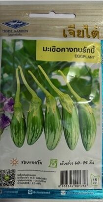 Chia Tai Home Garden Eggplant Maku Green Seeds