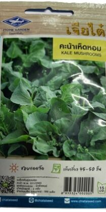 Chia Tai Home Garden Kale Mushrooms Seeds