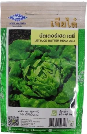 Chia Tai Home Garden Lettuce Butter Head Deli Seeds