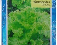 Lettuce Seeds