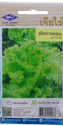 Chia Tai Home Garden Lettuce Seeds