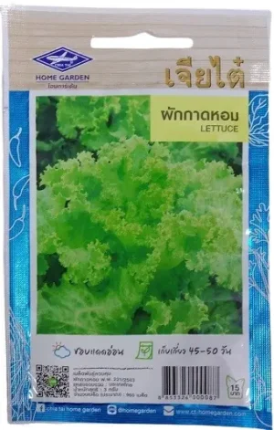 Chia Tai Home Garden Lettuce Seeds