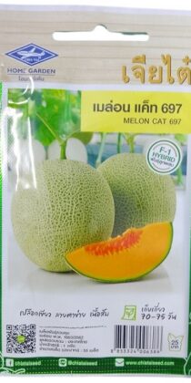 Chia Tai Home Garden Melon Cat 697 Seeds