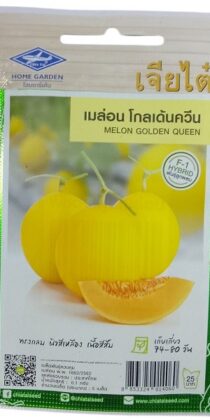 Chia Tai Home Garden Melon Golden Queen Seeds