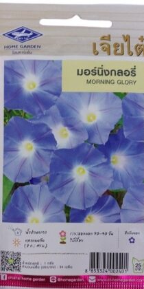 Morning Glory Flower Seeds