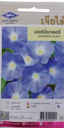 Chia Tai Home Garden Morning Glory Flower Seeds