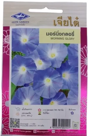 Chia Tai Home Garden Morning Glory Flower Seeds