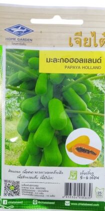 Chia Tai Home Garden Papaya Holland Seeds